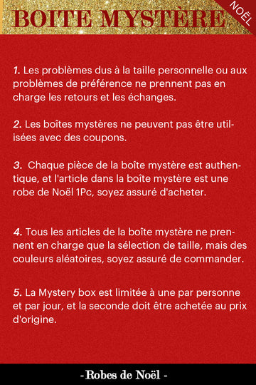 ZAPAKA BOÎTE MYSTÈRE de 1Pc Robe de Noël